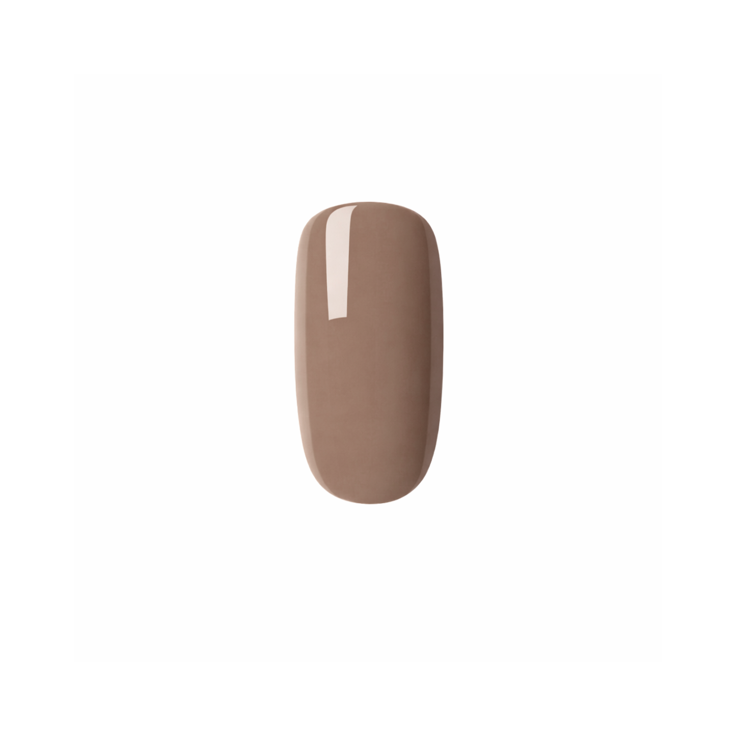 Elegant Taupe